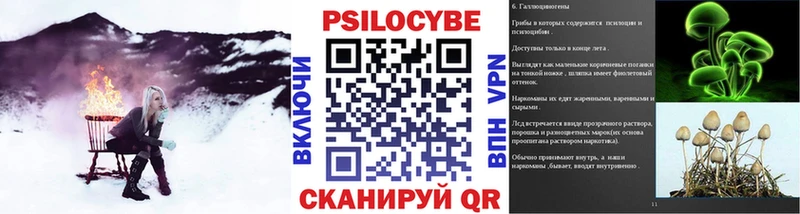 закладки  Свирск  Псилоцибиновые грибы GOLDEN TEACHER 